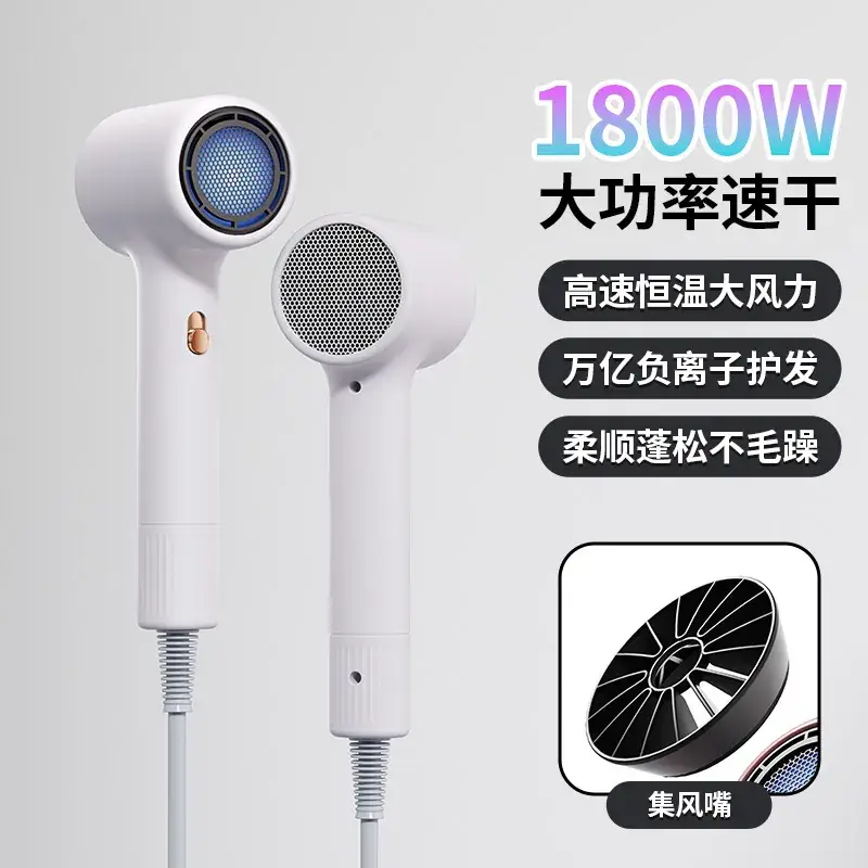 High Power Hair Dryer with 4D Blue Light & 2400W Motor