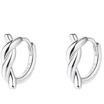 Silver High-end Rope Ear Buckle Earrings for Women