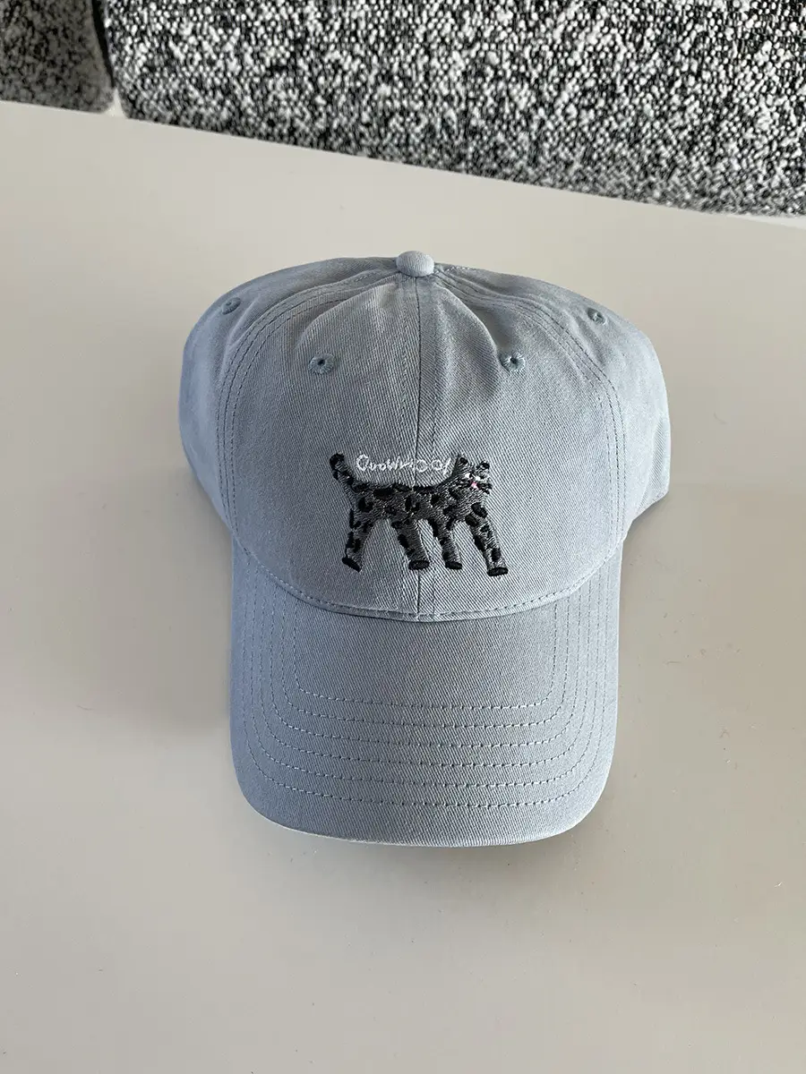Women's Korean Cat Embroidered Baseball Cap Navy Blue — feature 3