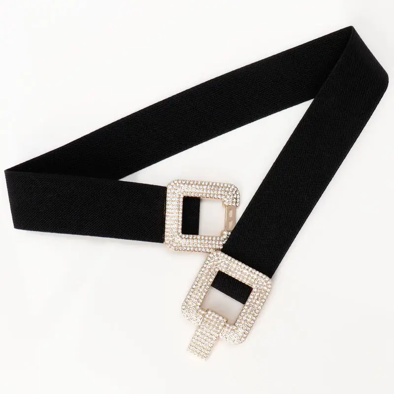 Diamond Encrusted Elastic Waist Belt for Women - Image 9