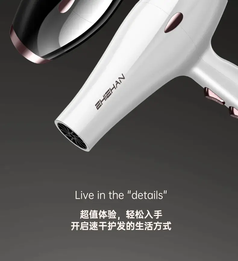 German Hair Dryer 3000W Blue Light Negative Ion — feature 29