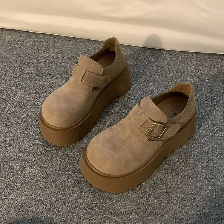 Internet Popular Single-layer Shoes Women's 2025 Spring New Fashion Retro Small Thick Sole Height-increasing Casual Birkendish Shoes — feature 4