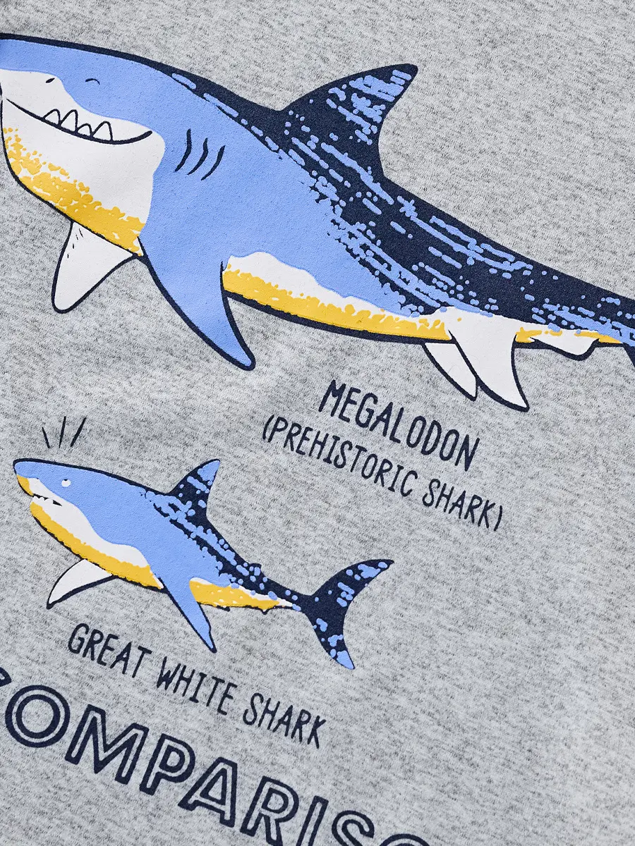 Gray Cotton T-Shirt for Boys Summer Wear