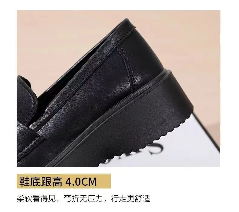 British Style Thick Bottom Small Leather Shoes for Work Women's 2025 New Spring Mary Jane Loafers One Pedal Shoes for Women — feature 6