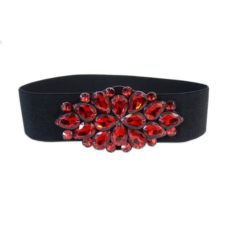 High Elastic Belt for Women's Elegant Dress - Image 3
