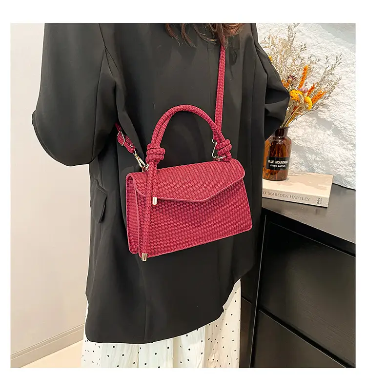 Small Square Handbag 2025 Spring New Collection — feature 11