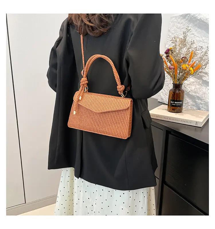Small Square Handbag 2025 Spring New Collection — feature 13