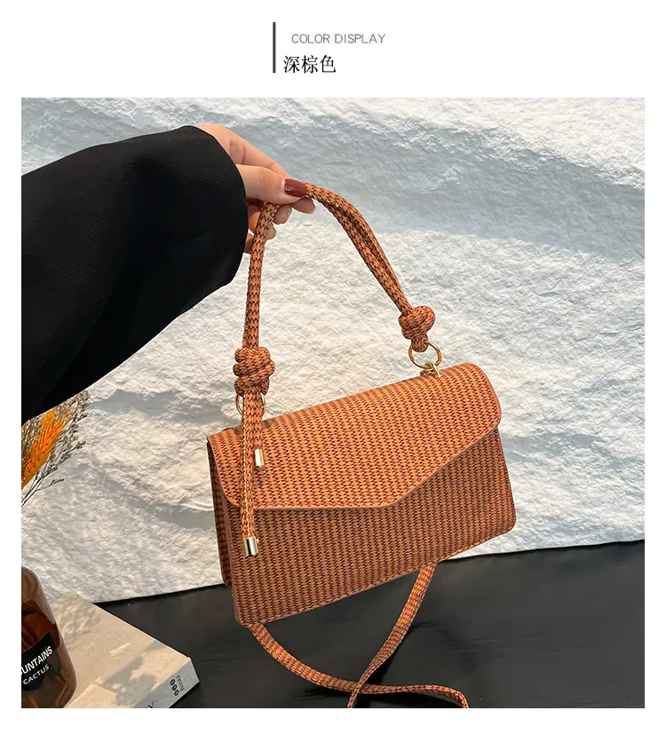 Small Square Handbag 2025 Spring New Collection — feature 29