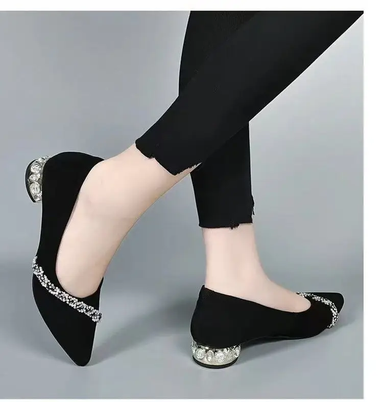 Low Heel Rhinestone Pointed Thick Heel Shallow Mouth Shoes Women's 2025 Spring New Elegant Frosted Pumps Black Work Shoes — feature 7