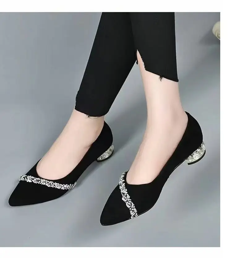 Low Heel Rhinestone Pointed Thick Heel Shallow Mouth Shoes Women's 2025 Spring New Elegant Frosted Pumps Black Work Shoes — feature 8