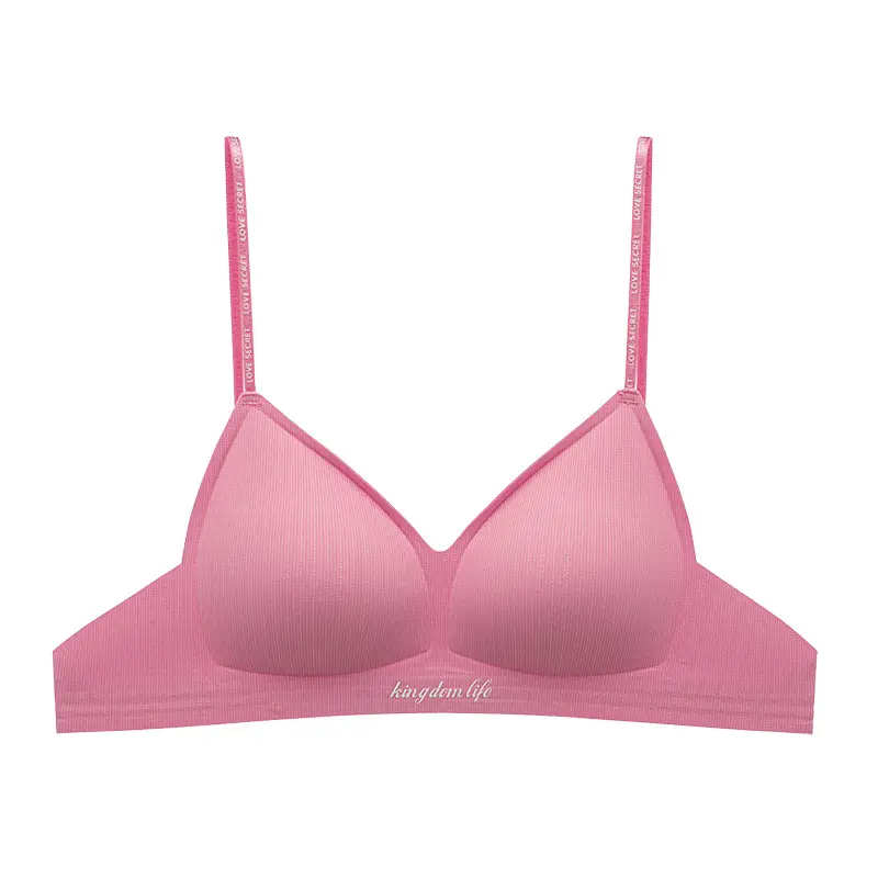 Authentic Barbie Pink Triangle Cup Push-Up Bra