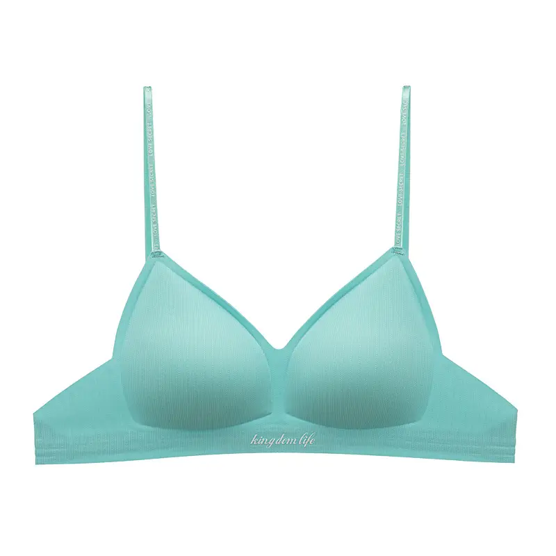 Authentic Barbie Pink Triangle Cup Push-Up Bra