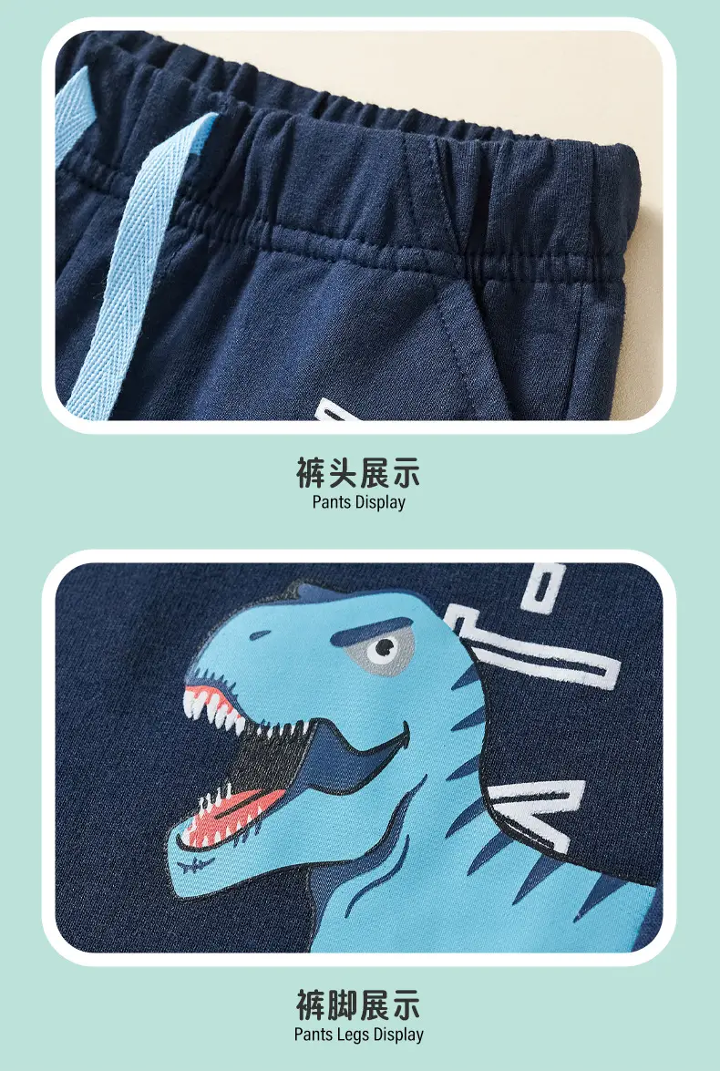 Light Blue Dinosaur Print Boys T-Shirt Pants Suit 2-Piece — feature 9
