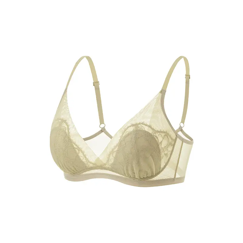 Tangge Spring and Summer French Silk Triangle Cup Bra Mulberry Silk Sexy Lace Rabbit Cup Underwear Big Chest Small