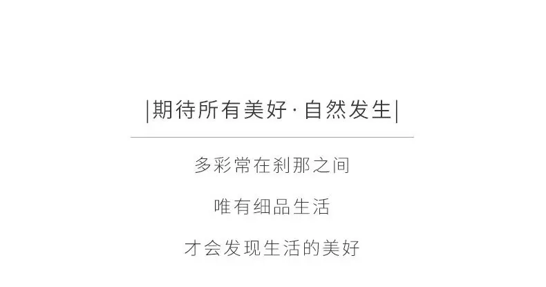 Platform Sandals Women's Summer High-rise Wear-resistant Breathable Non-slip Slippers EVA Outer Wear Beach Anti-odour Shit Sandals — feature 5