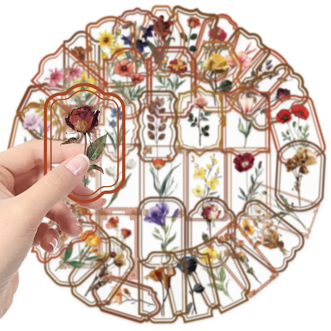 A variety of 50 double transparent stickers transparent waterproof DIY hand account material mobile phone notebook personality ins decorative stickers