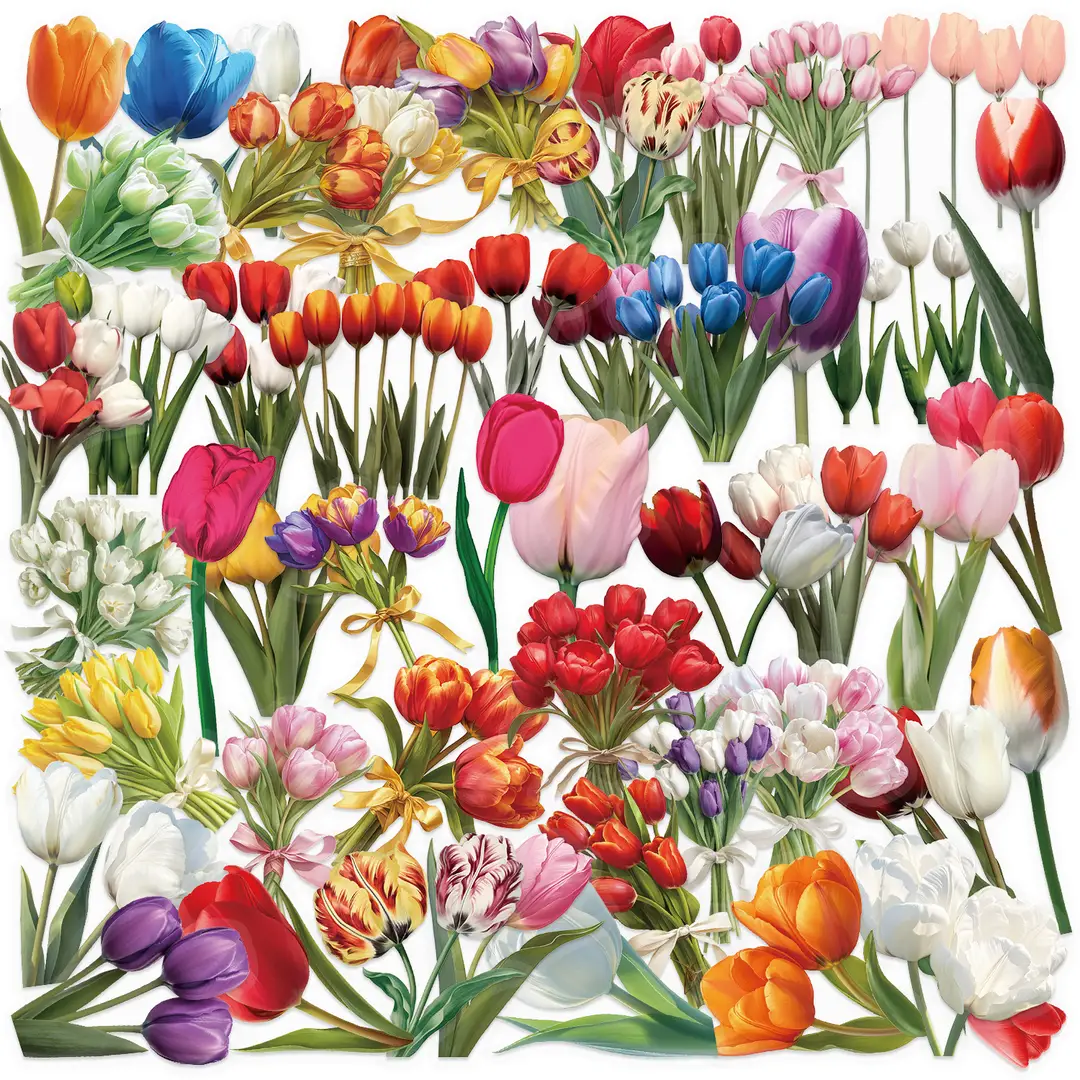 A variety of 50 double transparent stickers transparent waterproof DIY hand account material mobile phone notebook personality ins decorative stickers