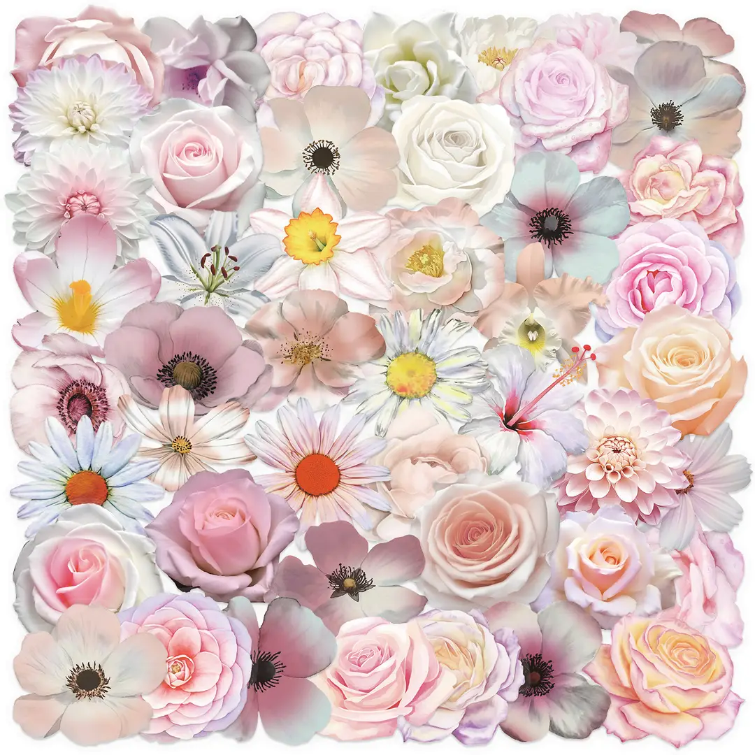 A variety of 50 double transparent stickers transparent waterproof DIY hand account material mobile phone notebook personality ins decorative stickers
