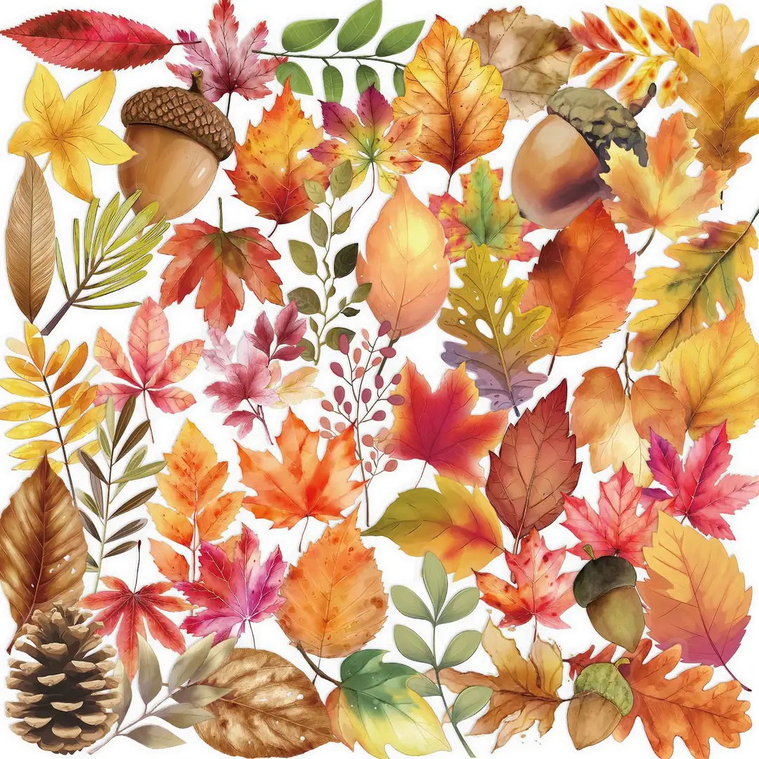 A variety of 50 double transparent stickers transparent waterproof DIY hand account material mobile phone notebook personality ins decorative stickers