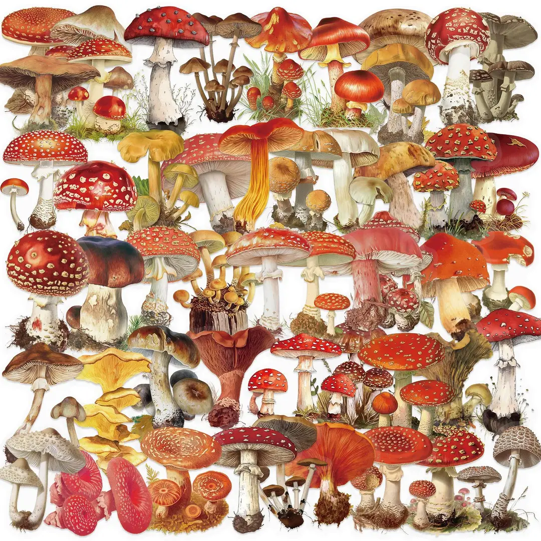 A variety of 50 double transparent stickers transparent waterproof DIY hand account material mobile phone notebook personality ins decorative stickers