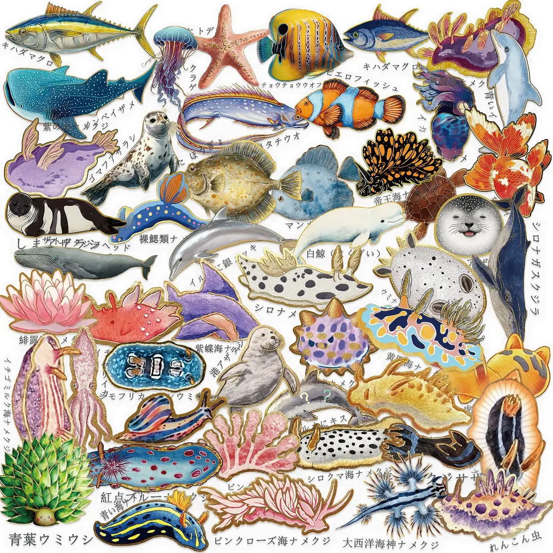 A variety of 50 double transparent stickers transparent waterproof DIY hand account material mobile phone notebook personality ins decorative stickers