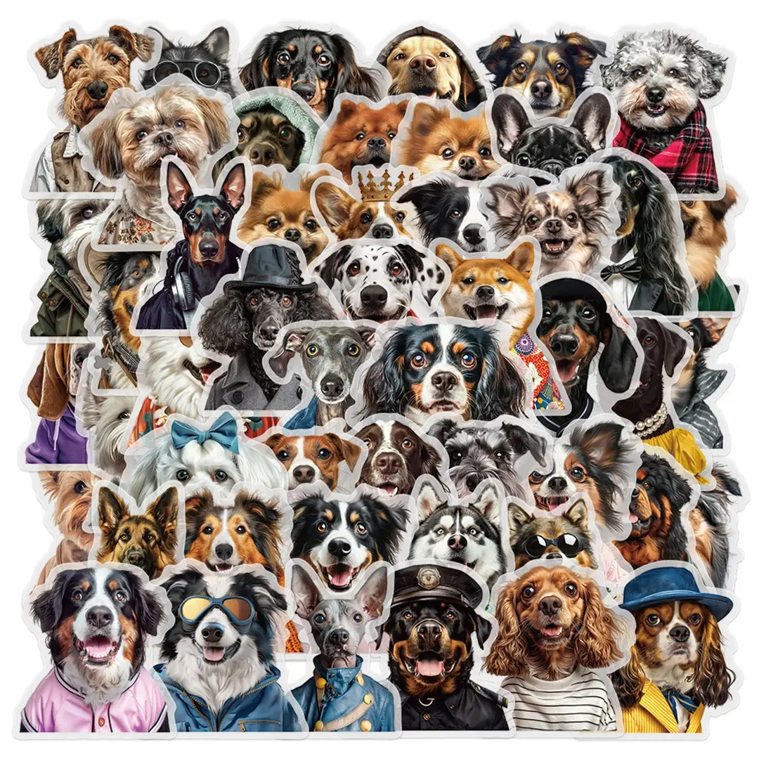 A variety of 50 double transparent stickers transparent waterproof DIY hand account material mobile phone notebook personality ins decorative stickers