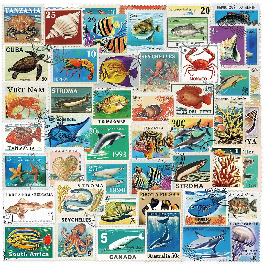 A variety of 50 double transparent stickers transparent waterproof DIY hand account material mobile phone notebook personality ins decorative stickers