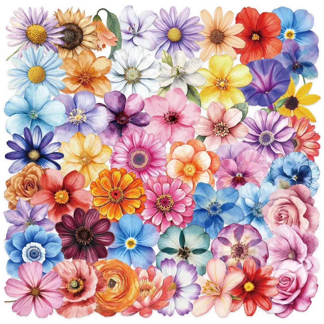 A variety of 50 double transparent stickers transparent waterproof DIY hand account material mobile phone notebook personality ins decorative stickers