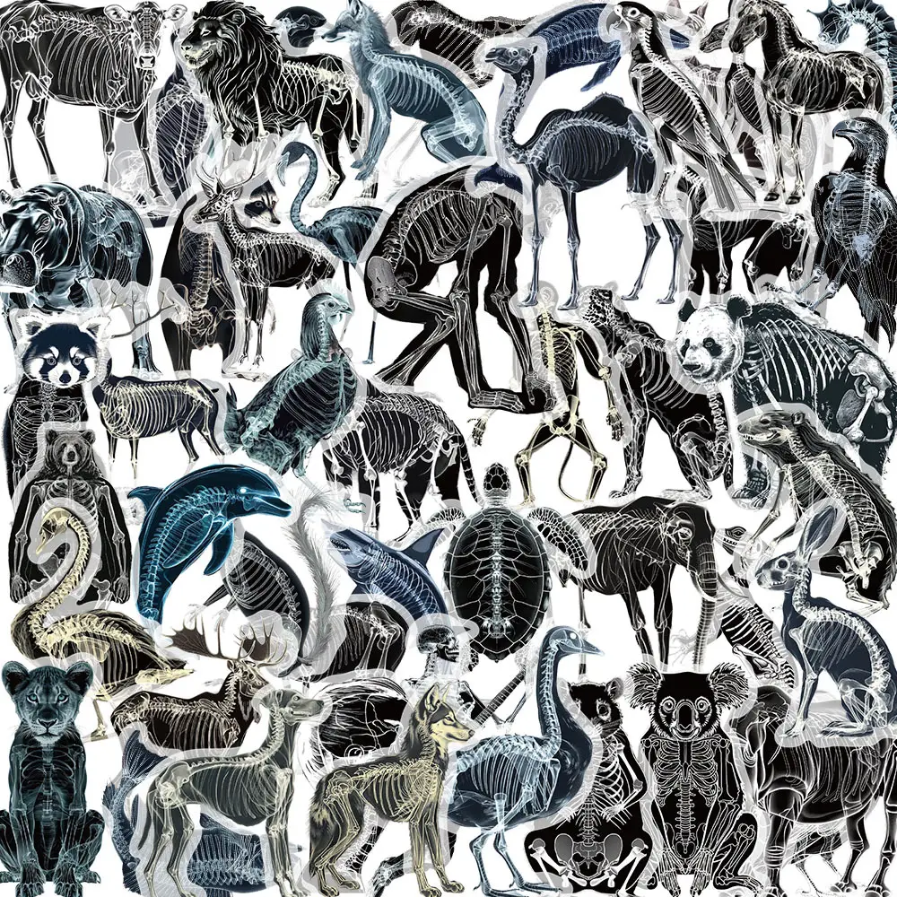 A variety of 50 double transparent stickers transparent waterproof DIY hand account material mobile phone notebook personality ins decorative stickers