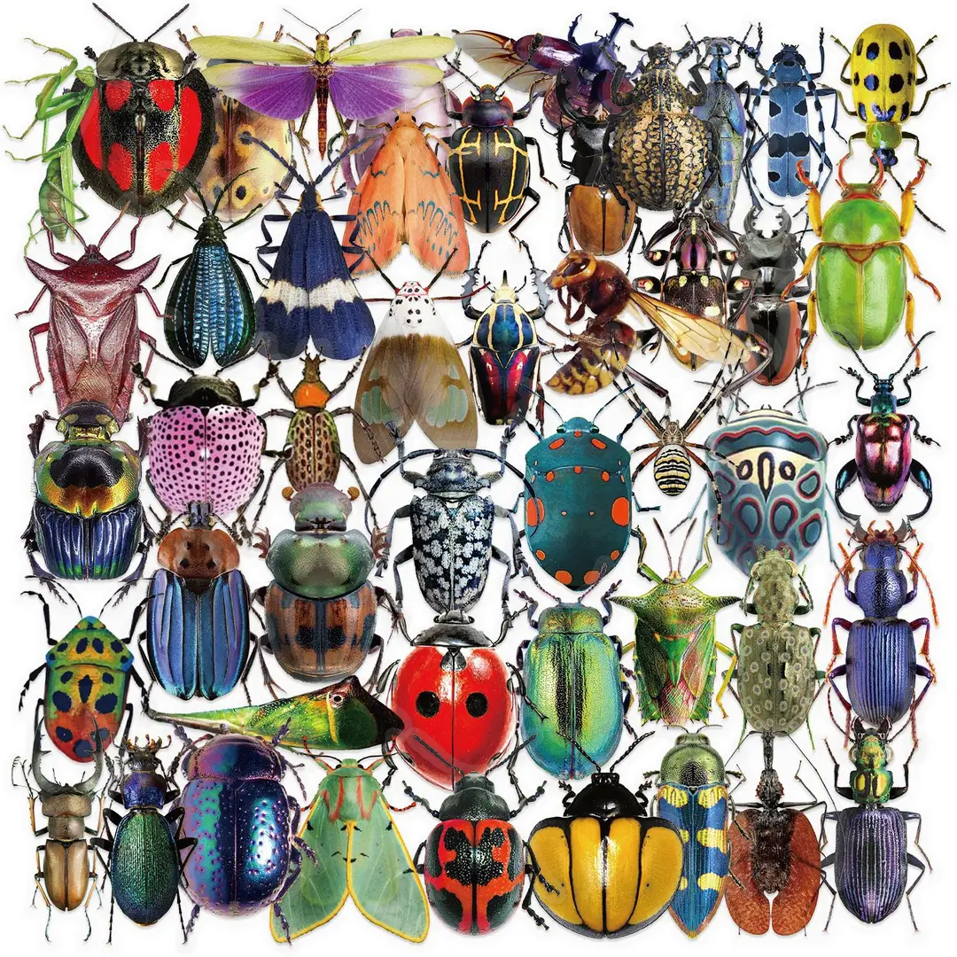 A variety of 50 double transparent stickers transparent waterproof DIY hand account material mobile phone notebook personality ins decorative stickers