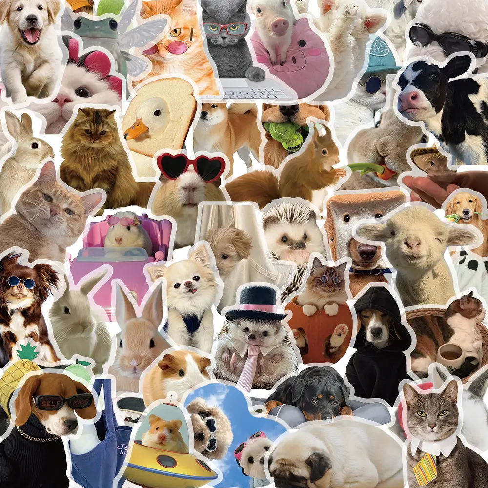 A variety of 50 double transparent stickers transparent waterproof DIY hand account material mobile phone notebook personality ins decorative stickers