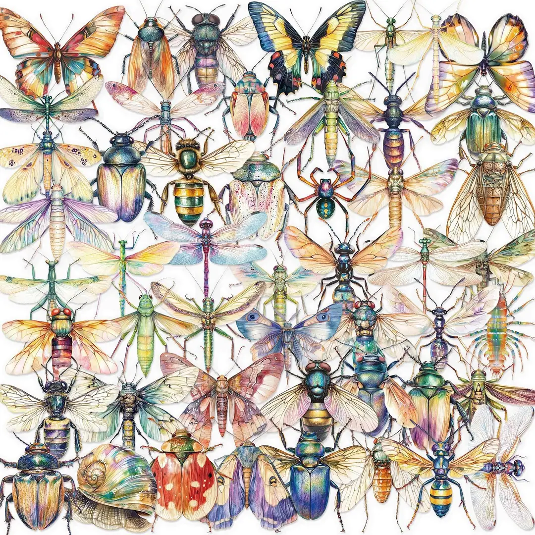 A variety of 50 double transparent stickers transparent waterproof DIY hand account material mobile phone notebook personality ins decorative stickers