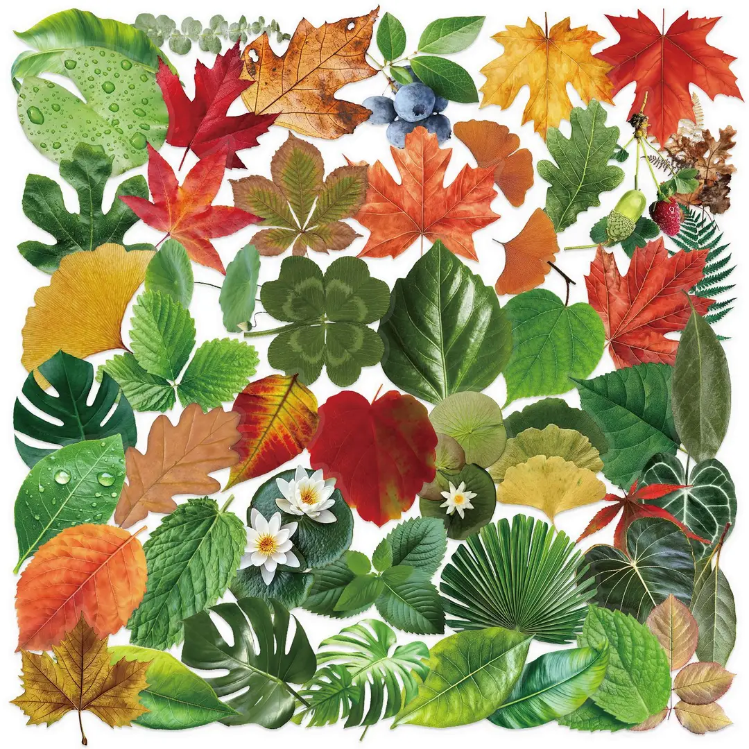 A variety of 50 double transparent stickers transparent waterproof DIY hand account material mobile phone notebook personality ins decorative stickers