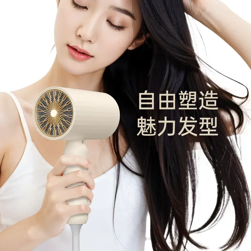Silent High-Power Hair Dryer for Students