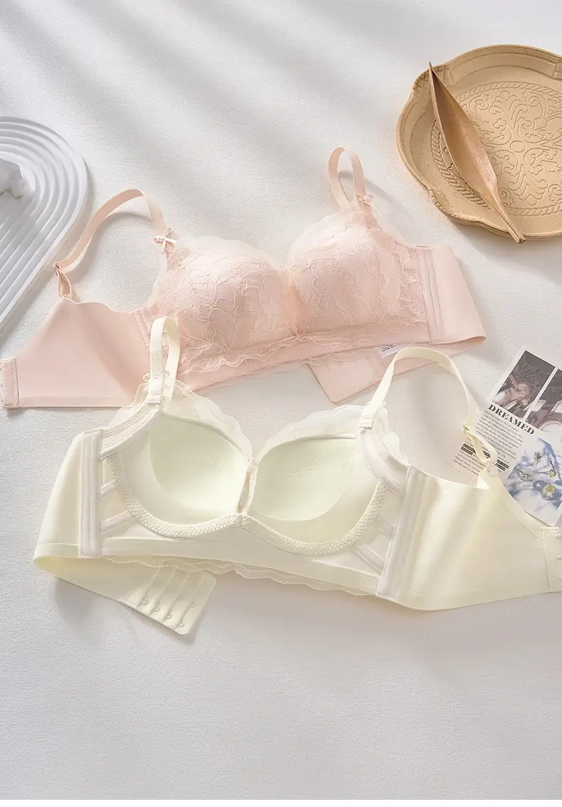 Small Chest Push Up Lace Bra Women's Non-Steel Rings — feature 10