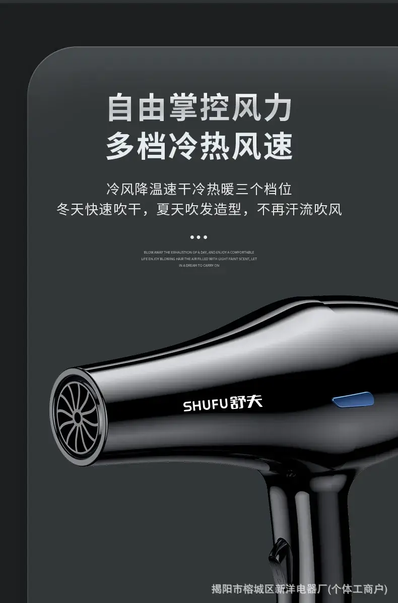 Low Radiation Anionic Hair Dryer for Hair Health — feature 21