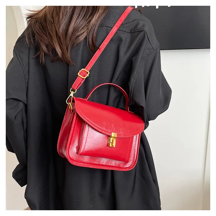 Stylish Small Square Bag for Women 2025 Spring Summer — feature 11