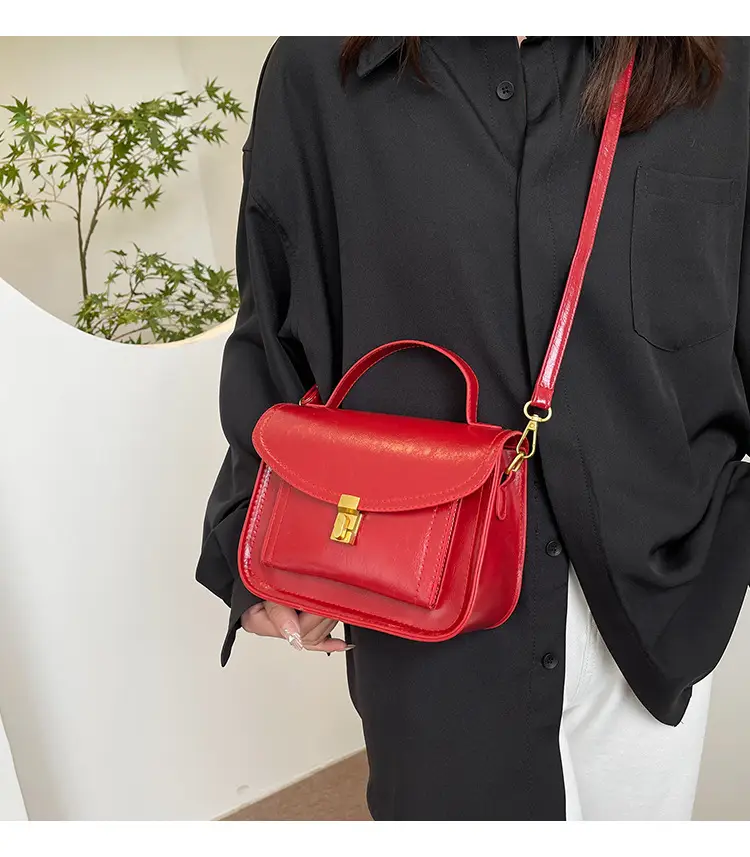 Stylish Small Square Bag for Women 2025 Spring Summer — feature 2