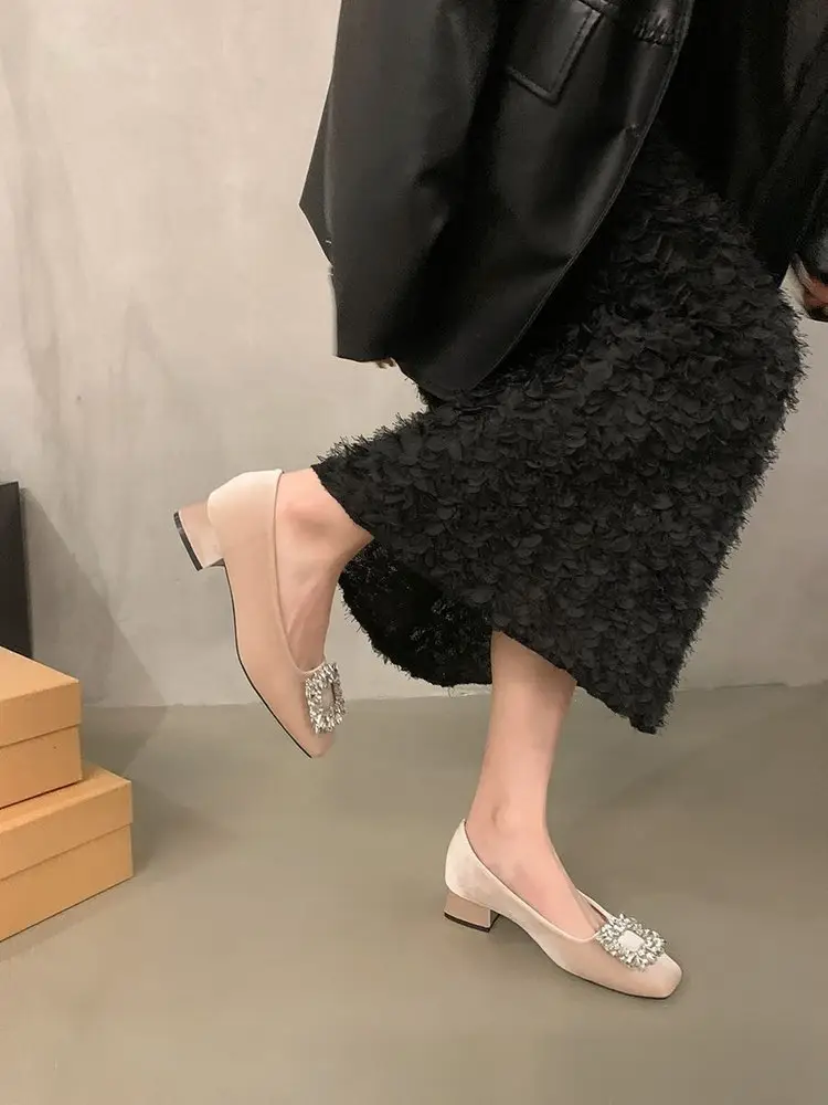 French Fairy Style Women's Shoes Elegant Rhinestone Single Shoes Slip-on Dress High Heels Late Evening Shoes Spring New — feature 12