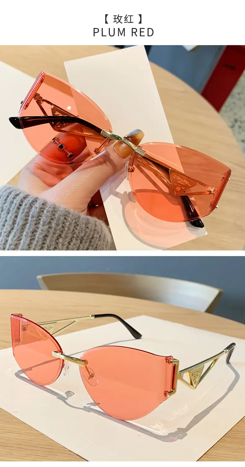 Women's High-End Cat-Eye Sunglasses with Hollow Leg Design โ feature 19