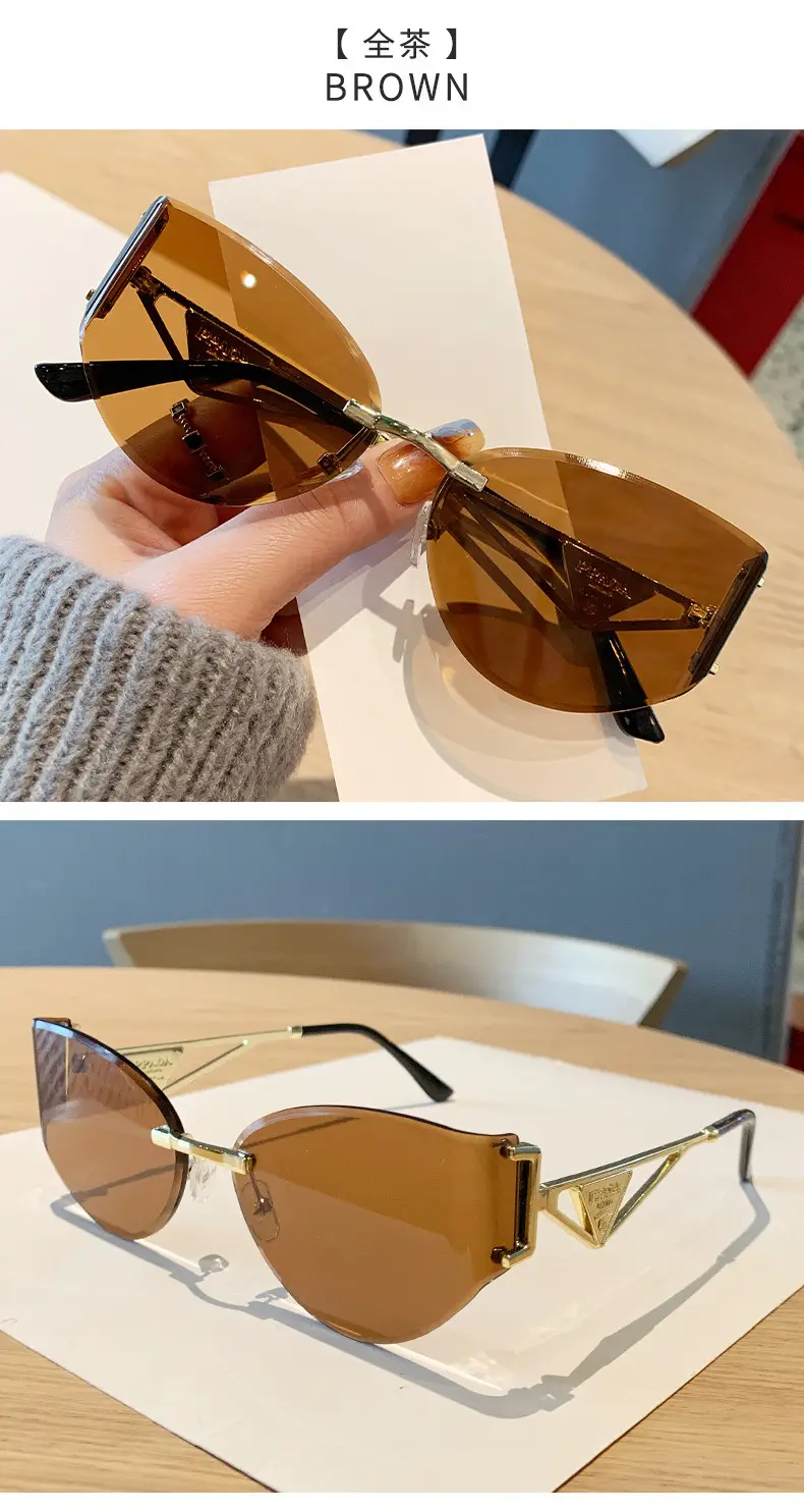 Women's High-End Cat-Eye Sunglasses with Hollow Leg Design โ feature 21