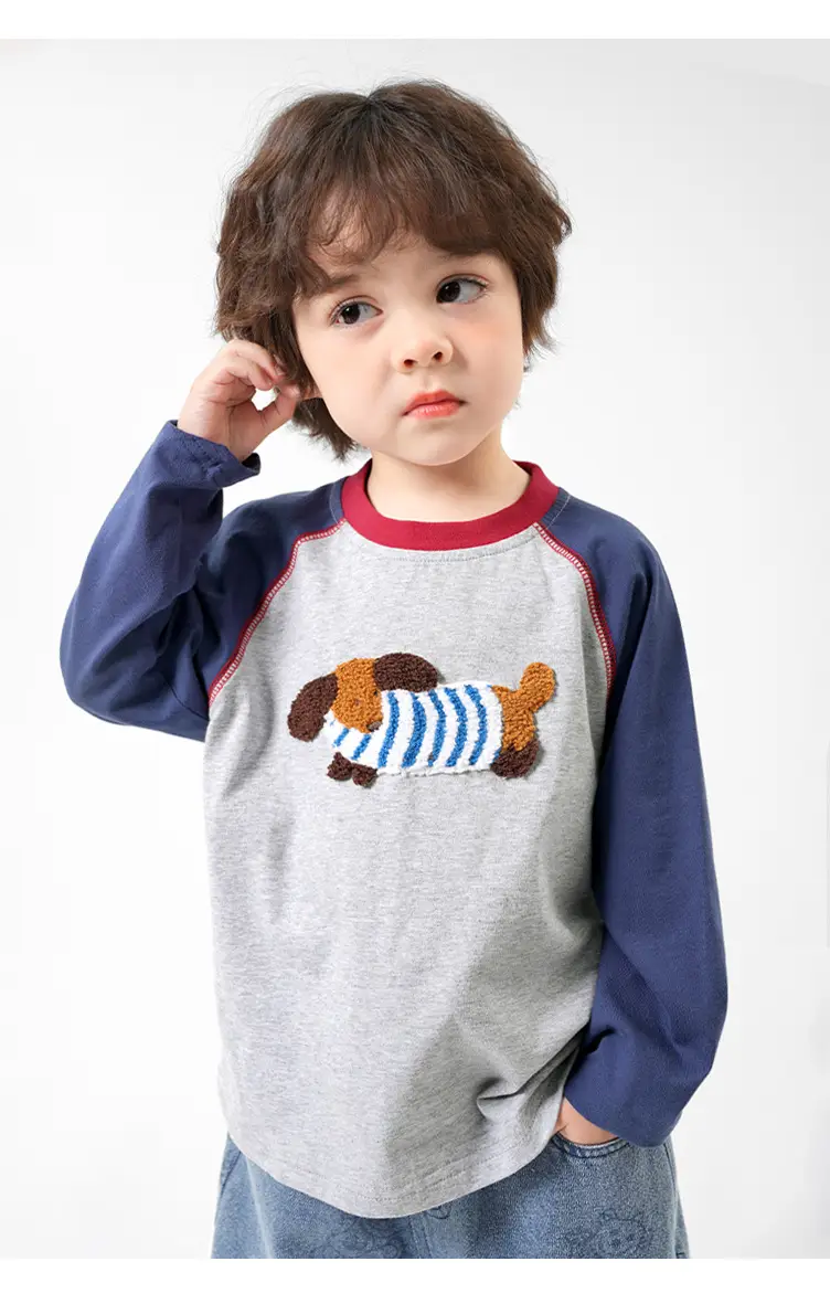 Pure Cotton Long Sleeve T-Shirt for Boys Spring — feature 20