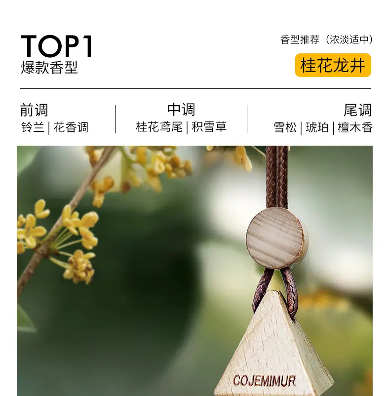 Car aromatherapy car interior ornaments advanced fragrance essential oil decoration lasting fragrance deodorant perfume gift box wholesale — feature 26