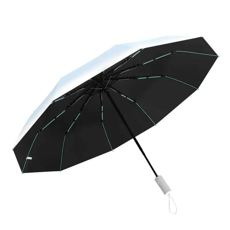 24-Bone Foldable Umbrella with Dual Glass Panels - Image 16
