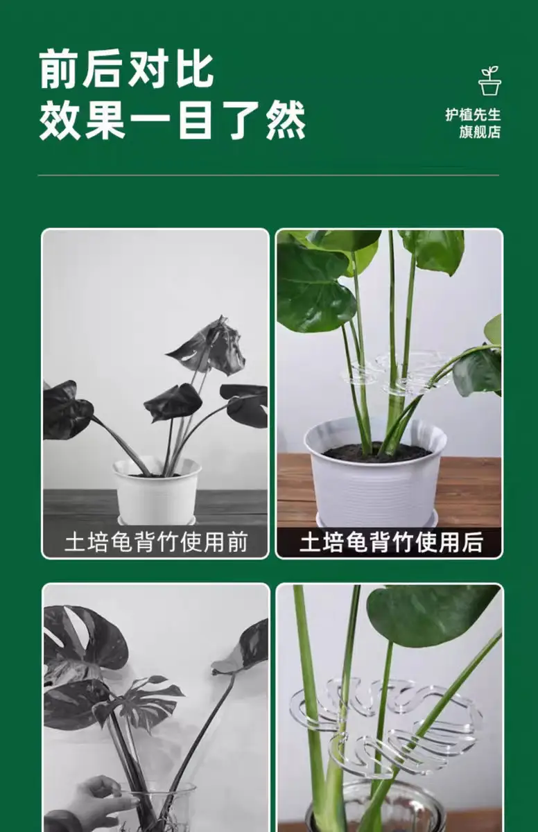 Bambusa Tortoise Support Rod Flower Support Rack Branch Stowed Rack Plant Anti-Lodging Support Green Plant Fixation Artifact Flower Rack — feature 4