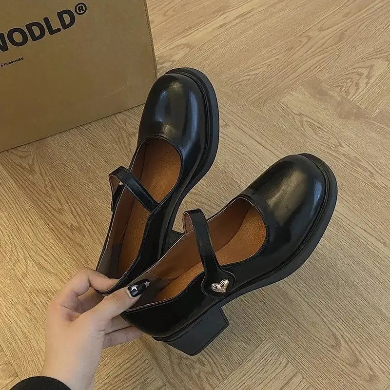 2025 New French-style Mary Jane Small Leather Shoes Women's Spring and Autumn All-match One-character Round Toe Chunky Heel JK Single-layer Shoes with Skirt