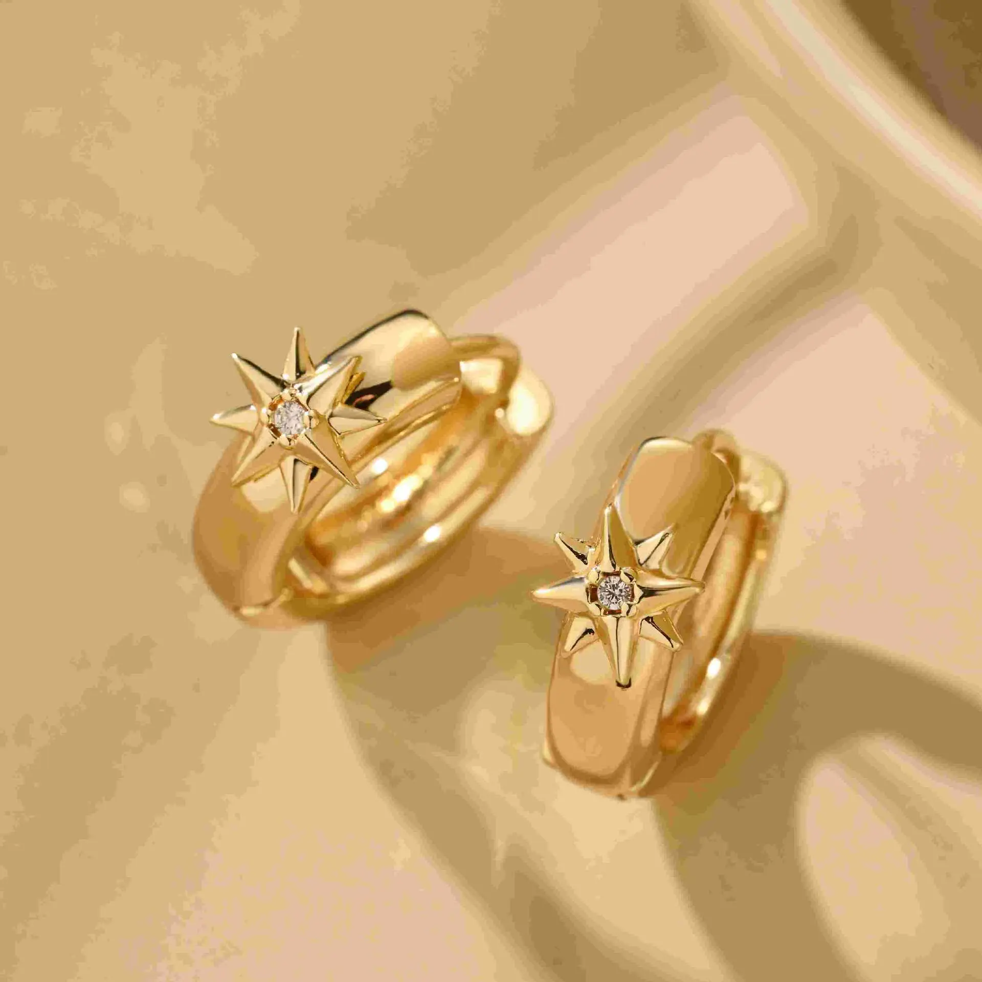 Gold Star Zircon Ear Buckles Set — feature 1
