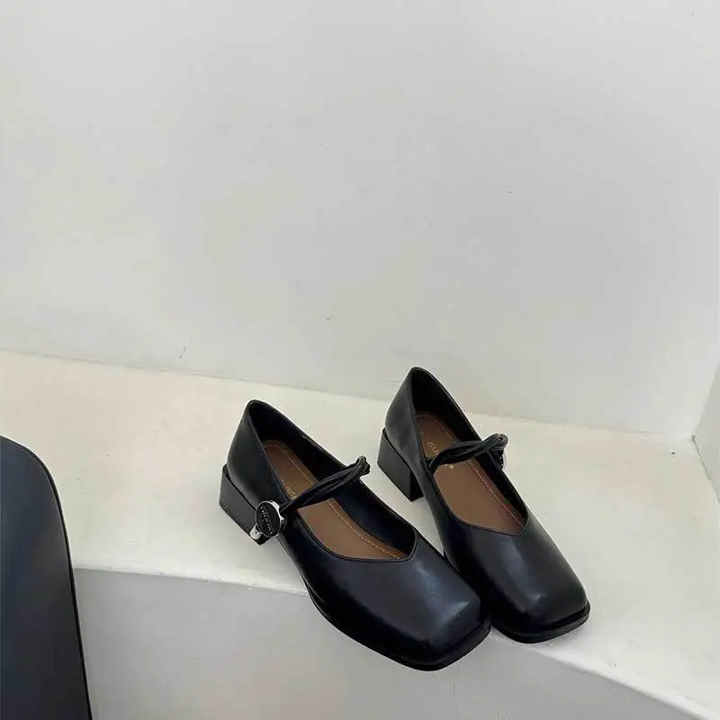 2025 Spring New Retro Square Toe Thick Heeled Mary Jane Shoes Women's Shoes Fairy Style Gentle Slip-on Shoes - Image 3