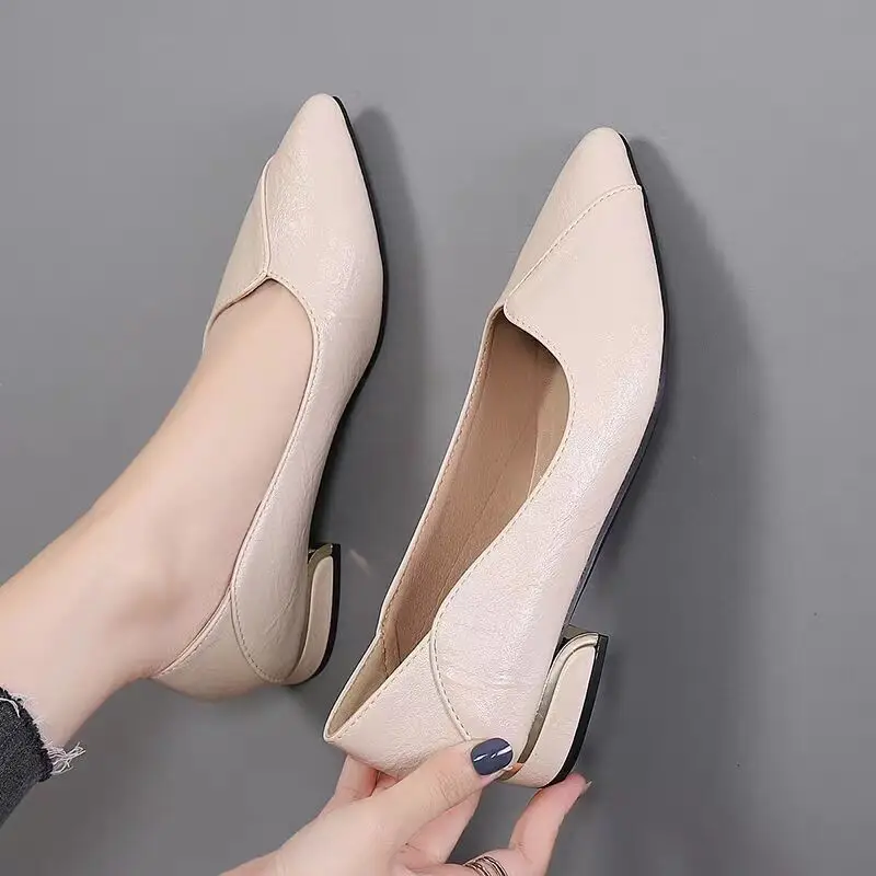 Simple Shallow-Mouthed Chunky Heel Shoes for Women 2026 Spring and Autumn New Pointed Toe Comfortable Low-Heeled Work Shoes Versatile Flat Women's Shoes - Image 4