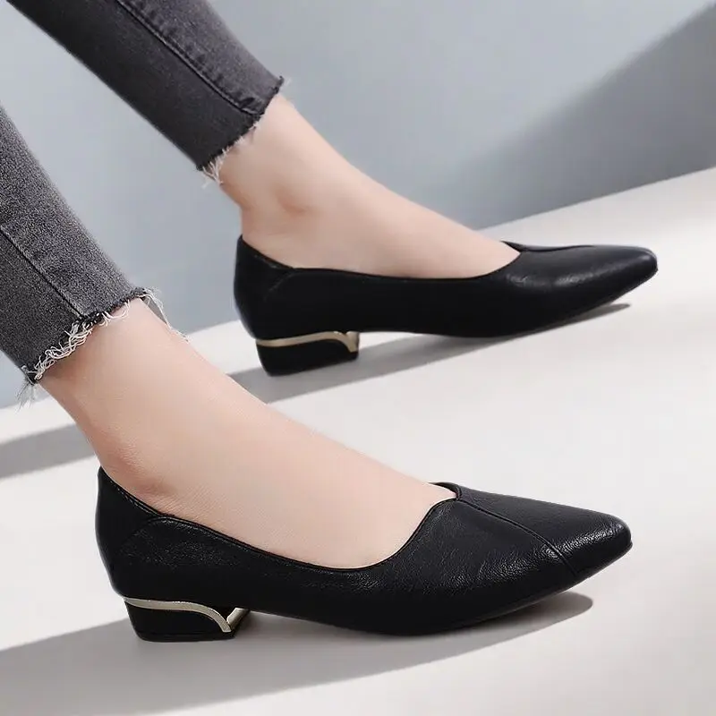 Simple Shallow-Mouthed Chunky Heel Shoes for Women 2026 Spring and Autumn New Pointed Toe Comfortable Low-Heeled Work Shoes Versatile Flat Women's Shoes - Image 5